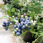 ��ǰ�� �̹���